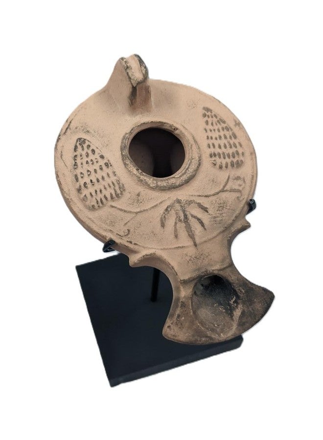 Clearco Seashell Display Stand for Minerals, Spheres, Rocks, Shells, Baseballs, Ancient Oil Lamps, Artifacts and other items (3 inch) - Image 4
